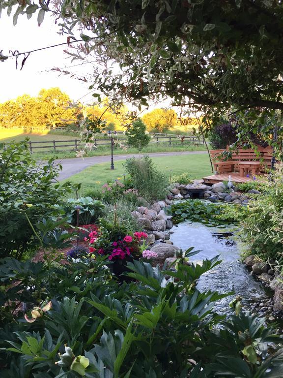 Serenity Ranch Bed & Breakfast Ancaster Buitenkant foto