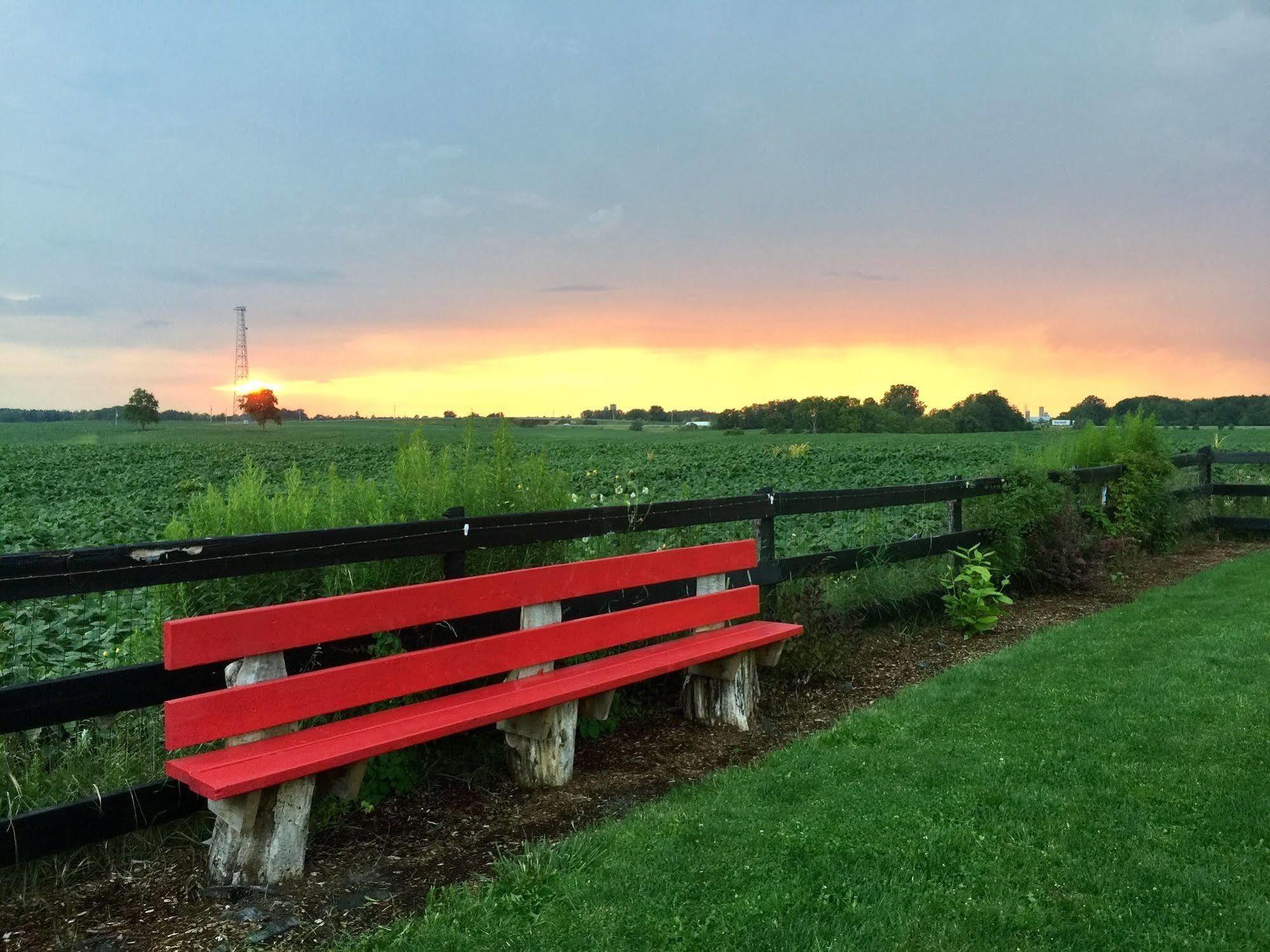 Serenity Ranch Bed & Breakfast Ancaster Buitenkant foto